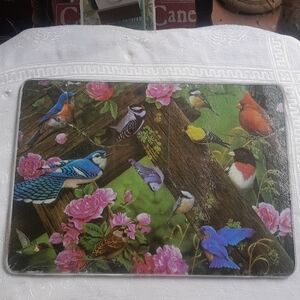Colorful Bird-Themed Tempered Glass Cutting Board. Vintage